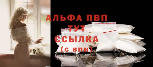 СК Ладушкин