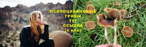 соль курить ск Лабытнанги