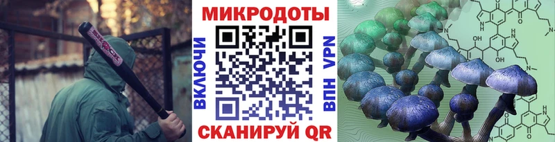 Псилоцибиновые грибы мицелий  наркошоп  MEGA ССЫЛКА  Норильск 