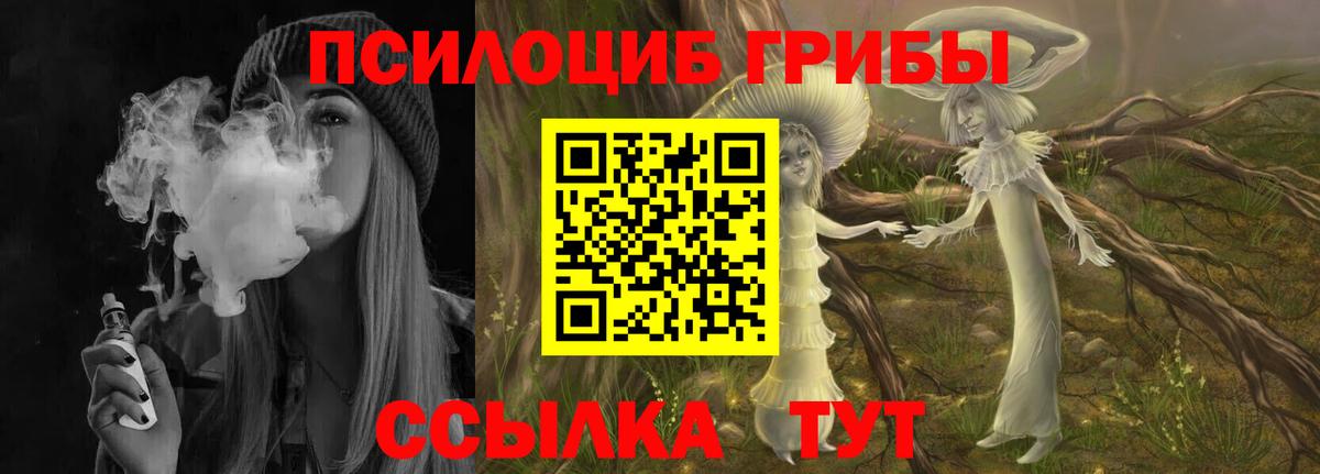 Галлюциногенные грибы Magic Shrooms  Вход с VPN  Норильск 
